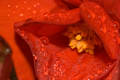 thumbnail-9