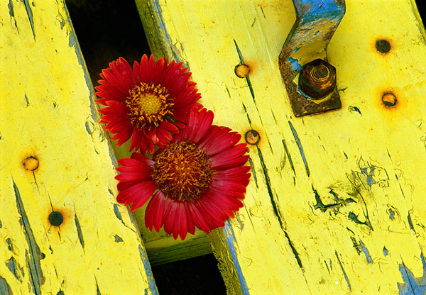Red_Yellow_Blue