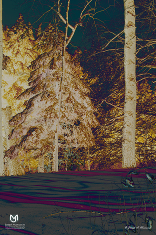 large_4